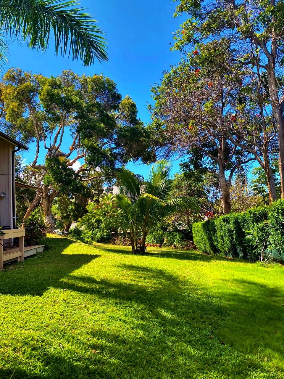 South Maui Guesthouse - Photo 5