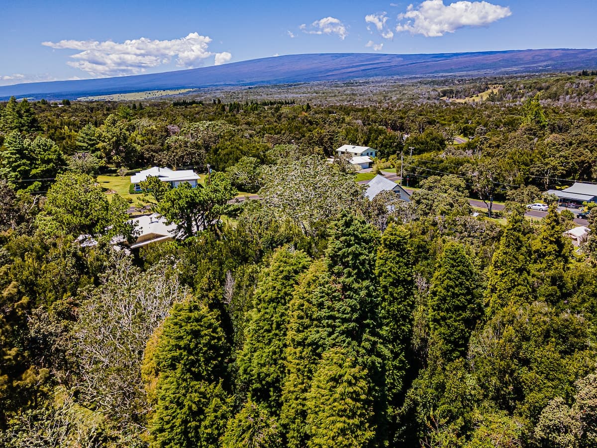 Home in Volcano · ★4.93 · 1 bedroom · 1 bed · 1 private bath - Photo 4