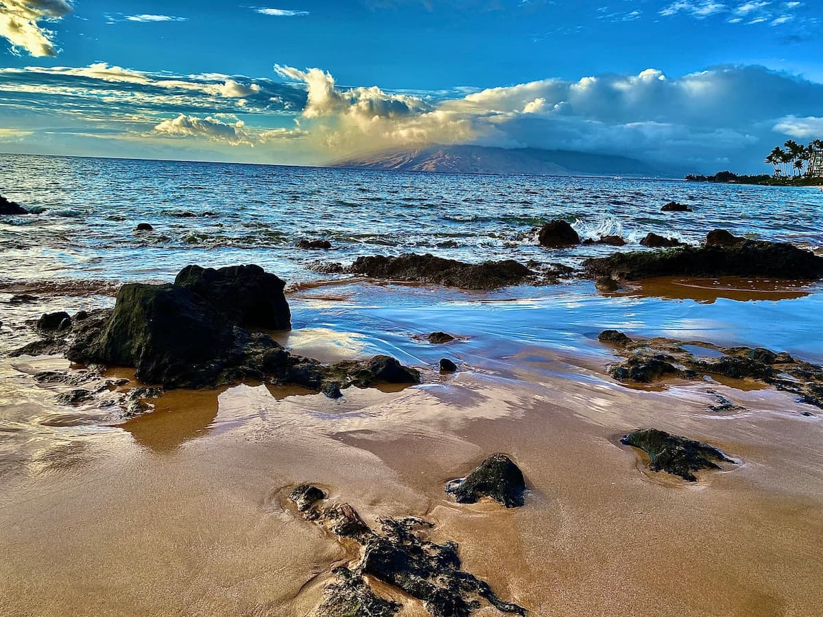 Condo in Kihei · ★4.9 · 2 bedrooms · 4 beds · 1 private bath - Photo 5