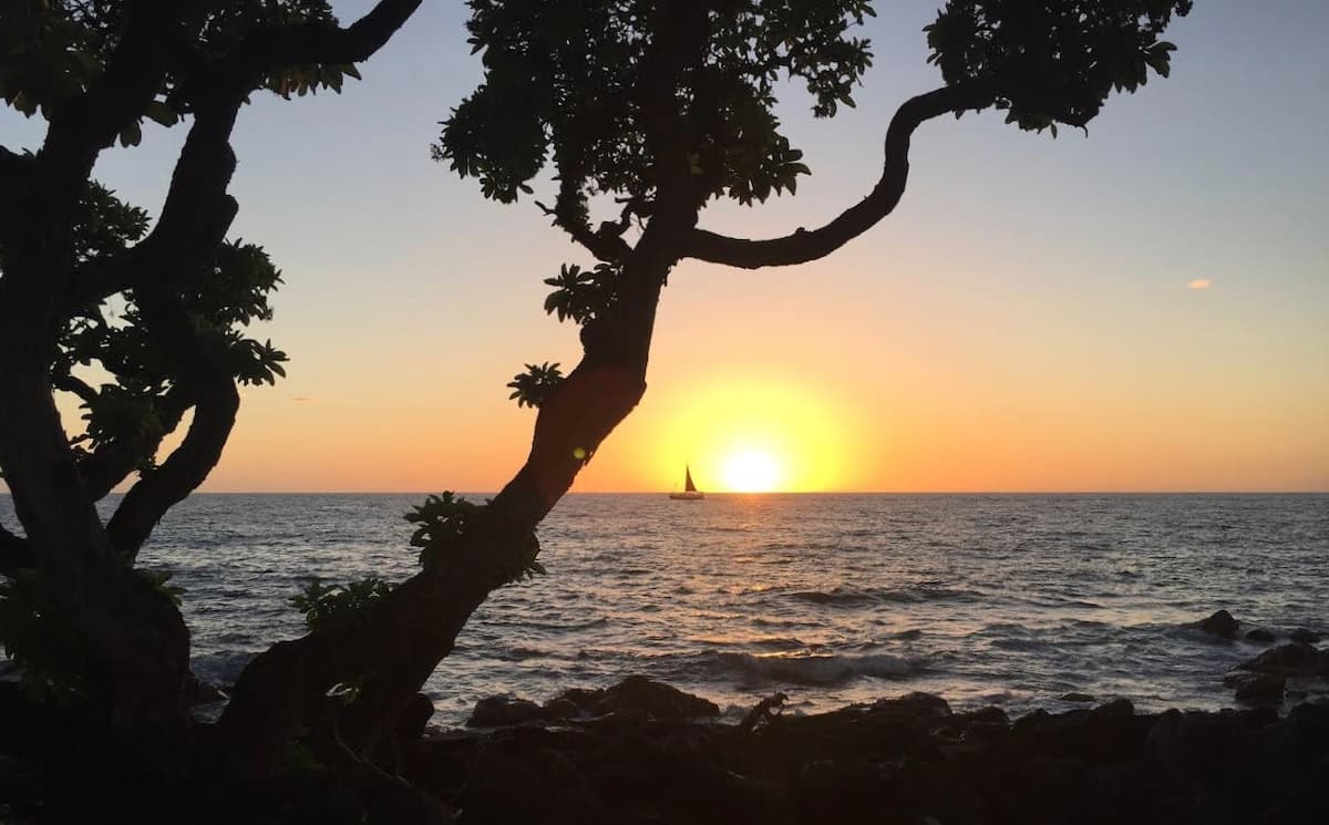 Condo in Kailua-Kona · ★4.9 · 1 bedroom · 1 bed · 1 bath - Photo 2