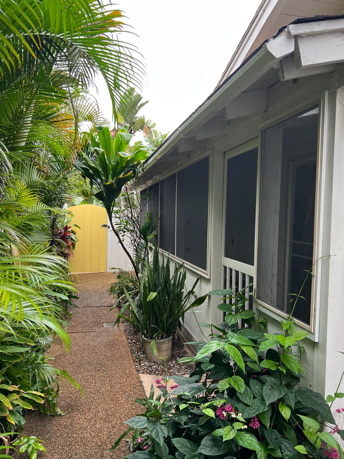 Private room in bed and breakfast in Kailua - Photo 5