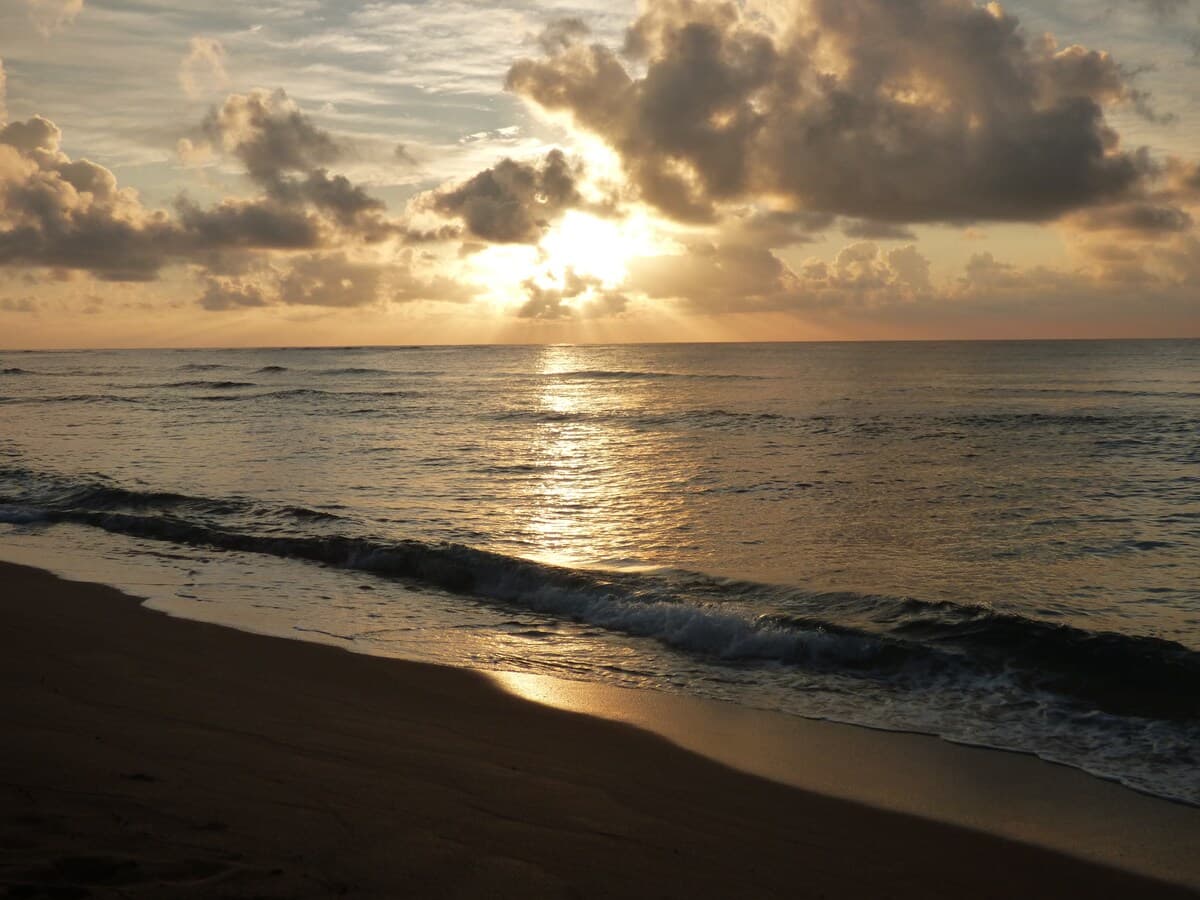 # 145 Great direct ocean front ground level unit. - Photo 4