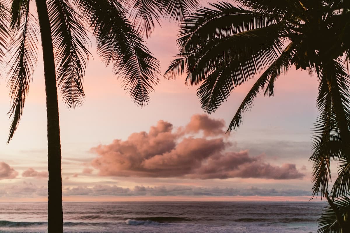 Condo in Princeville · ★4.99 · 2 bedrooms · 3 beds · 2 baths - Photo 5