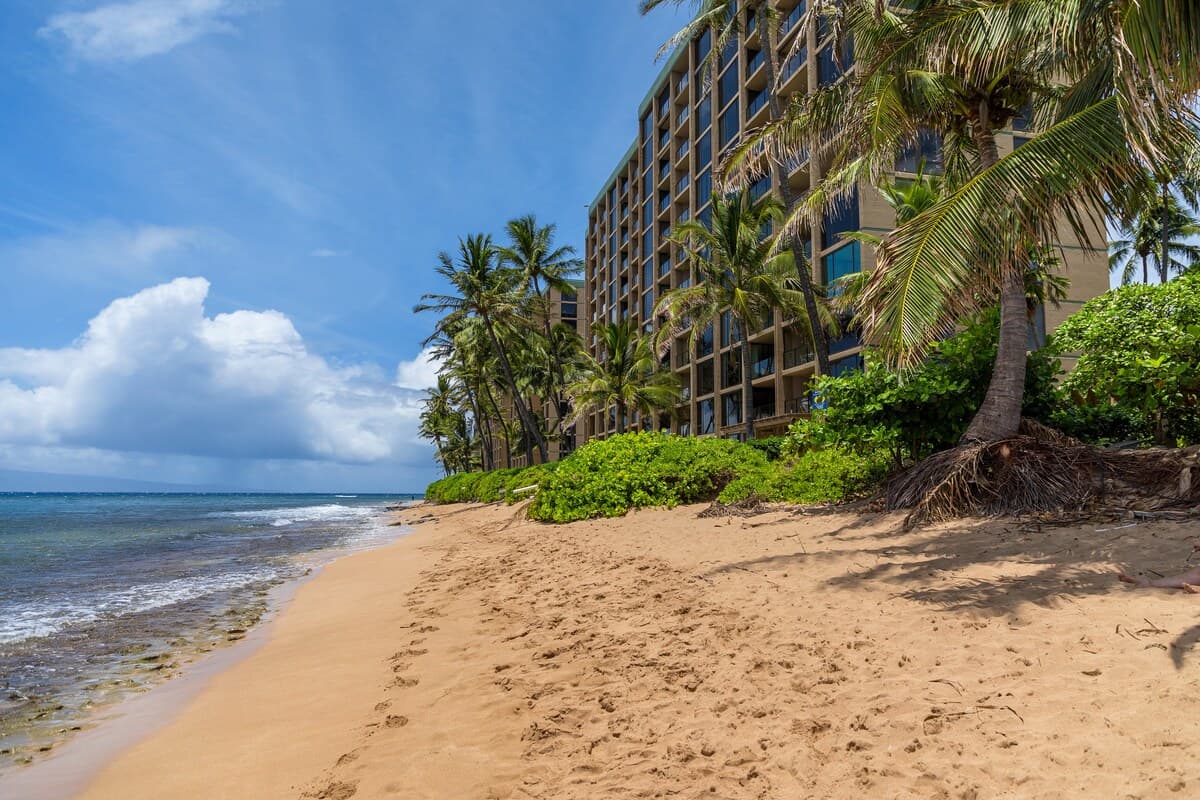 Condo in Lahaina · ★4.99 · 1 bedroom · 1 bed · 1 bath - Photo 5