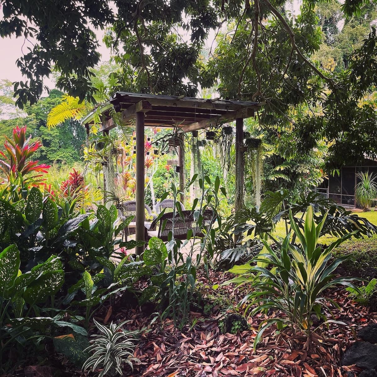 Home in Hilo · ★4.93 · 3 bedrooms · 3 beds · 2 baths - Photo 4