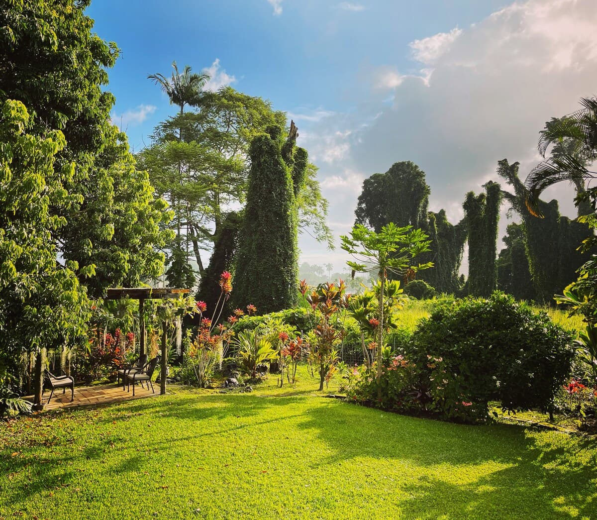 Home in Hilo · ★4.93 · 3 bedrooms · 3 beds · 2 baths - Photo 5