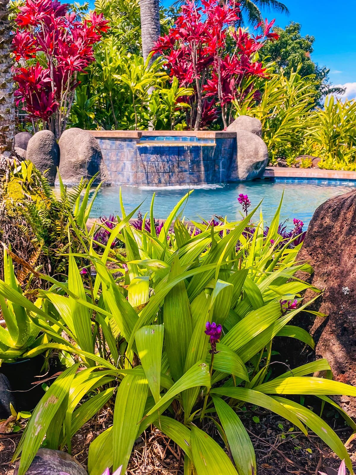 Home in Haiku-Pauwela · ★4.88 · 3 bedrooms · 4 beds · 2 baths - Photo 5