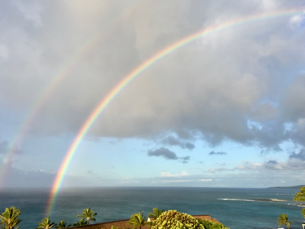 Condo in Koloa · ★4.8 · 1 bedroom · 2 beds · 1 bath - Photo 4