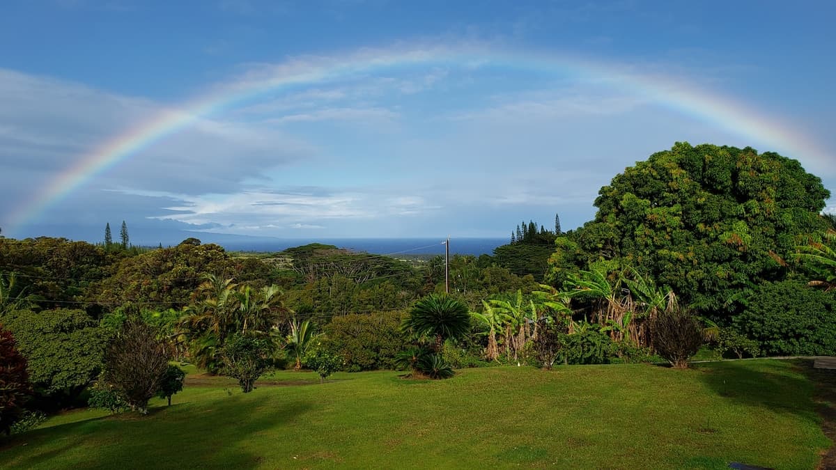 Private Hideaway, Near Hana Hwy, Ocean View, A/C - Photo 4