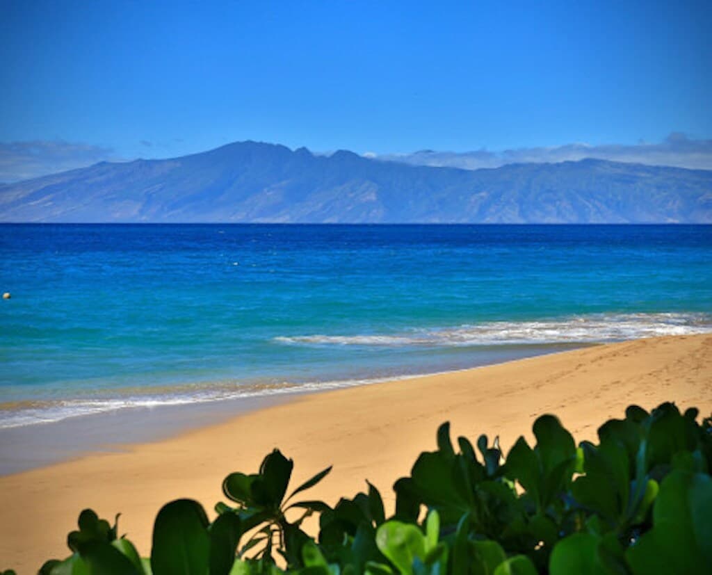 Condo in Lahaina · ★4.94 · 1 bedroom · 2 beds · 2 baths - Photo 5
