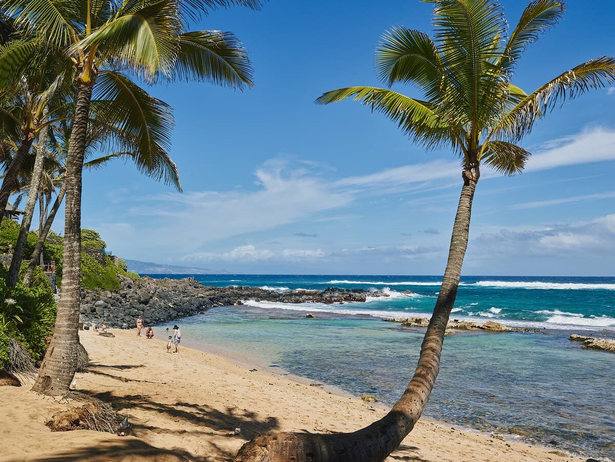 Condo in Paia · ★4.9 · 1 bedroom · 1 bed · 1 bath - Photo 1