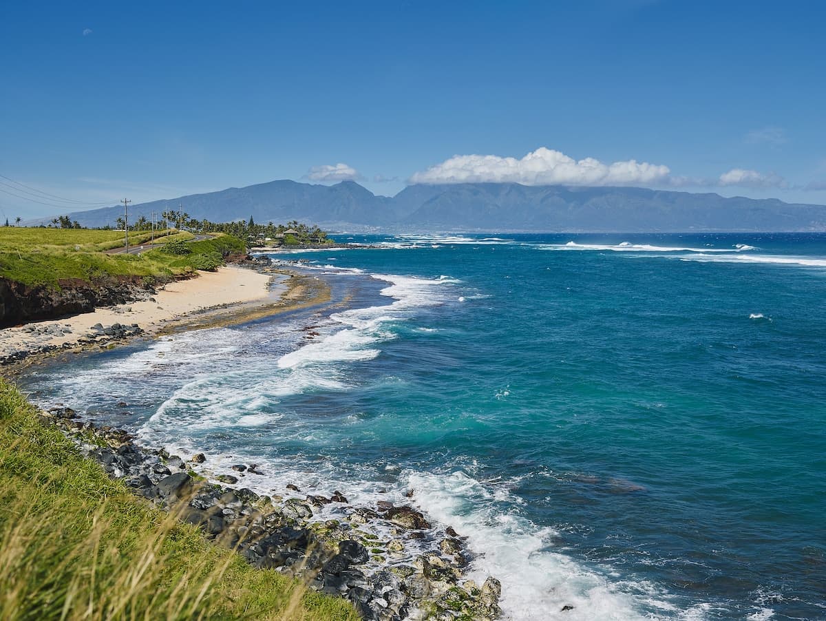 Condo in Paia · ★4.9 · 1 bedroom · 1 bed · 1 bath - Photo 4