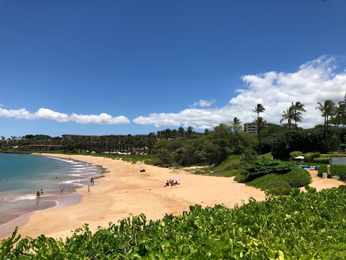 Condo in Kihei · ★4.95 · 1 bedroom · 1 bed · 1 private bath - Photo 5