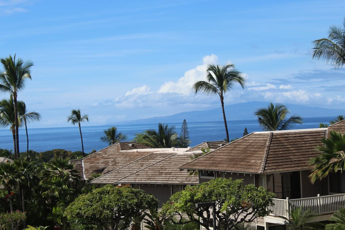 Condo in Kihei · ★4.95 · 1 bedroom · 1 bed · 1 private bath - Photo 4