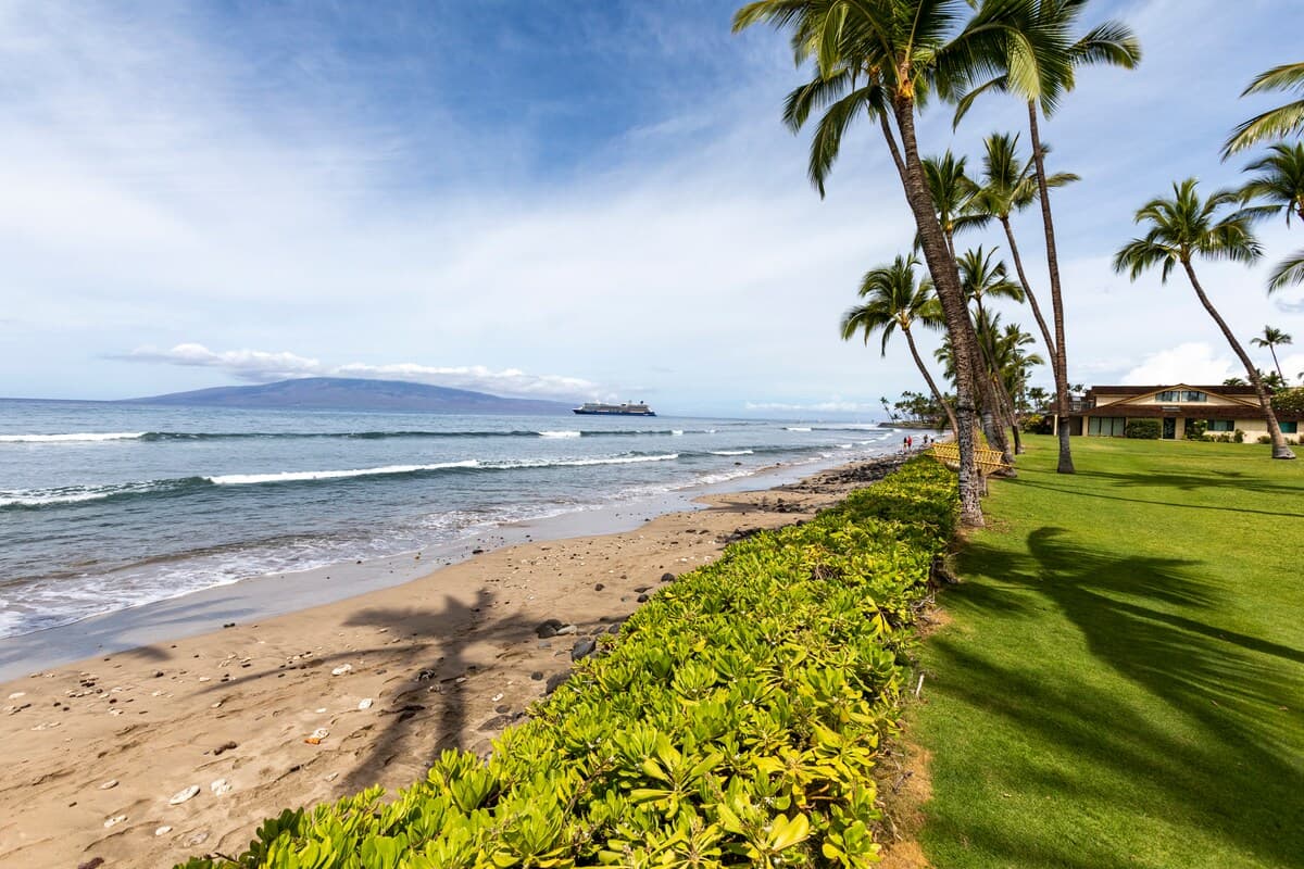 Townhouse in Lahaina · ★4.86 · 2 bedrooms · 2 beds · 2.5 baths - Photo 4