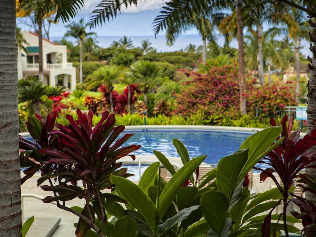 Condo in Kihei · ★4.99 · 1 bedroom · 1 bed · 2 baths - Photo 1