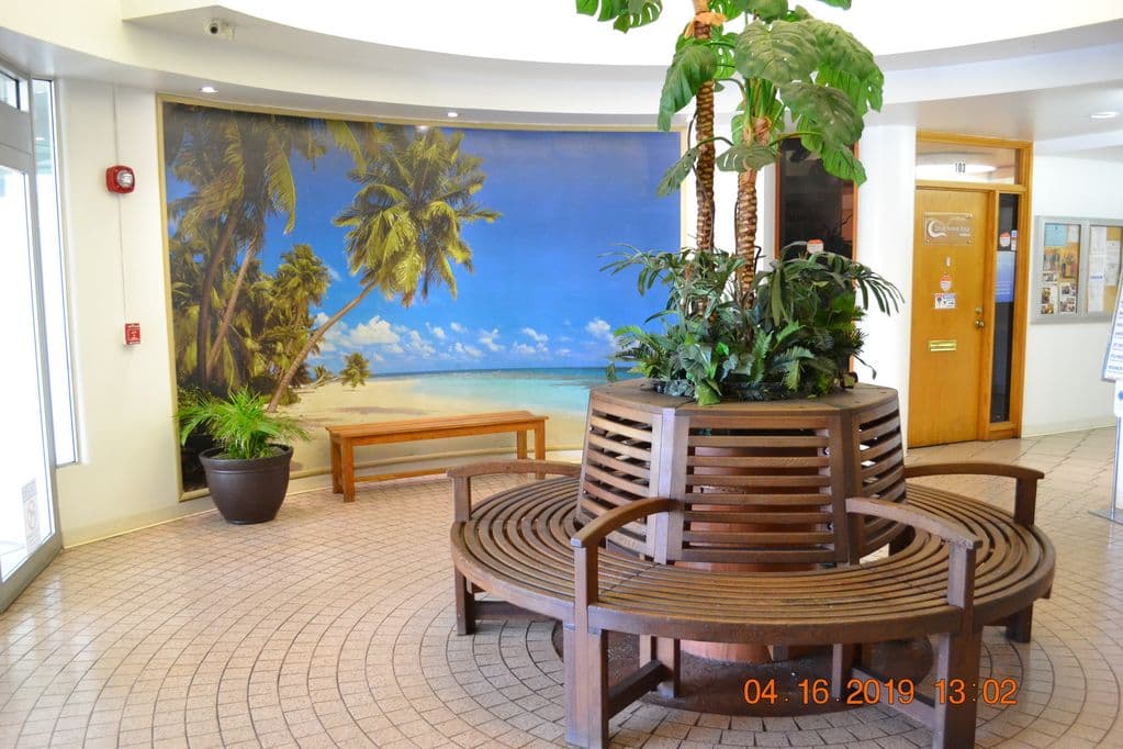 Condo in Honolulu · ★4.75 · 1 bedroom · 2 beds · 1 private bath - Photo 5