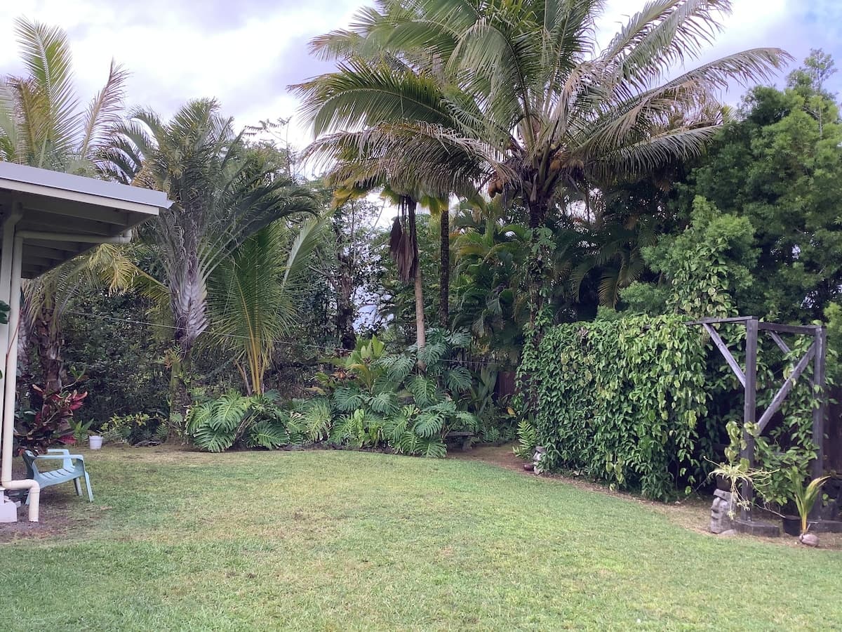 Your own private cottage- hear the ocean! - Photo 5