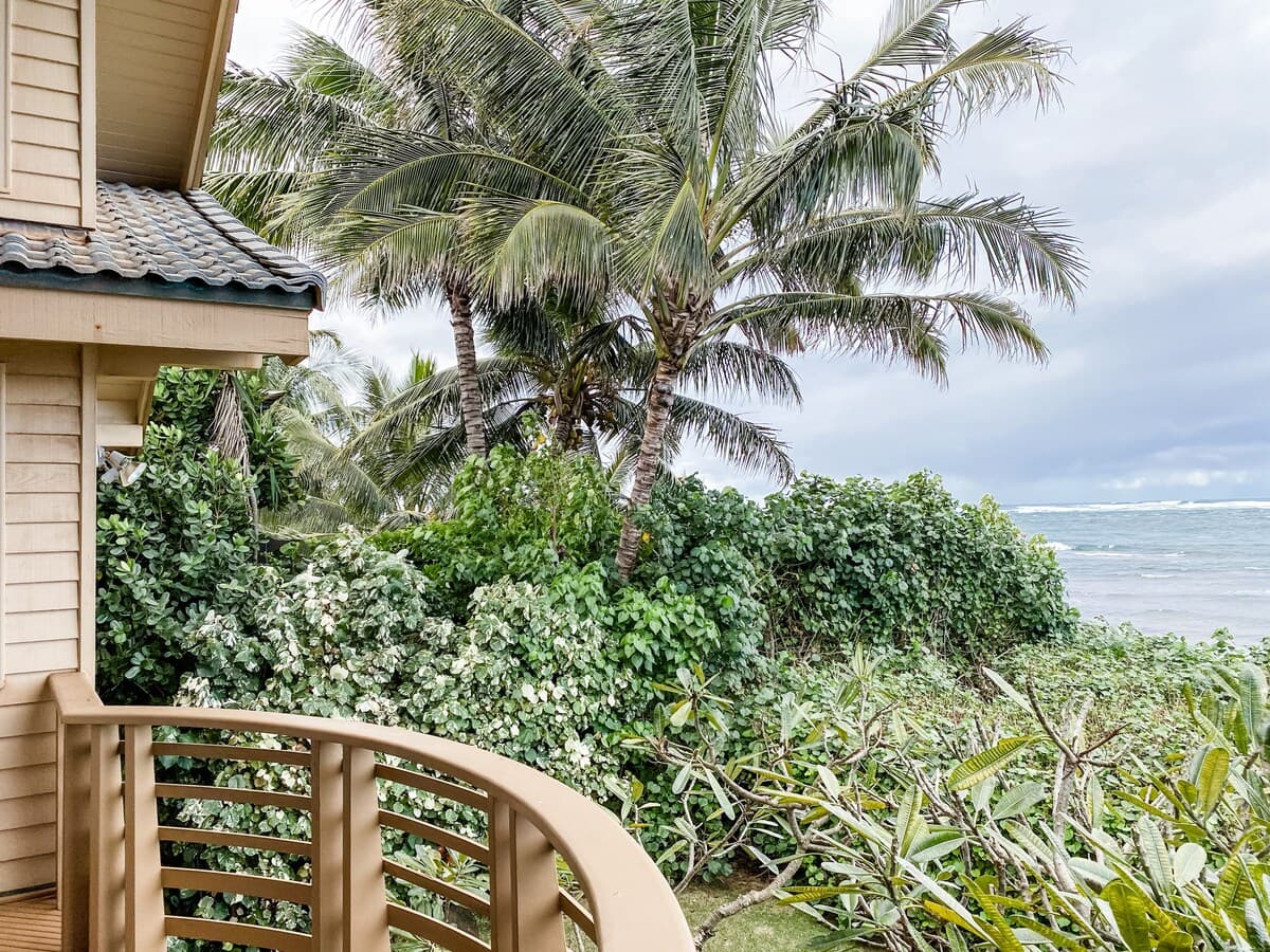 Home in Waialua · ★4.93 · 3 bedrooms · 5 beds · 3 private baths - Photo 5