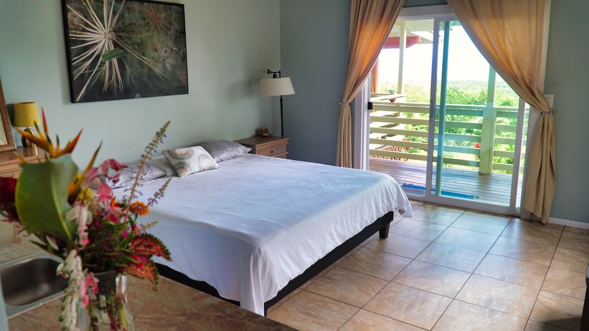 Blue Room at Sundari Gardens - Photo 1