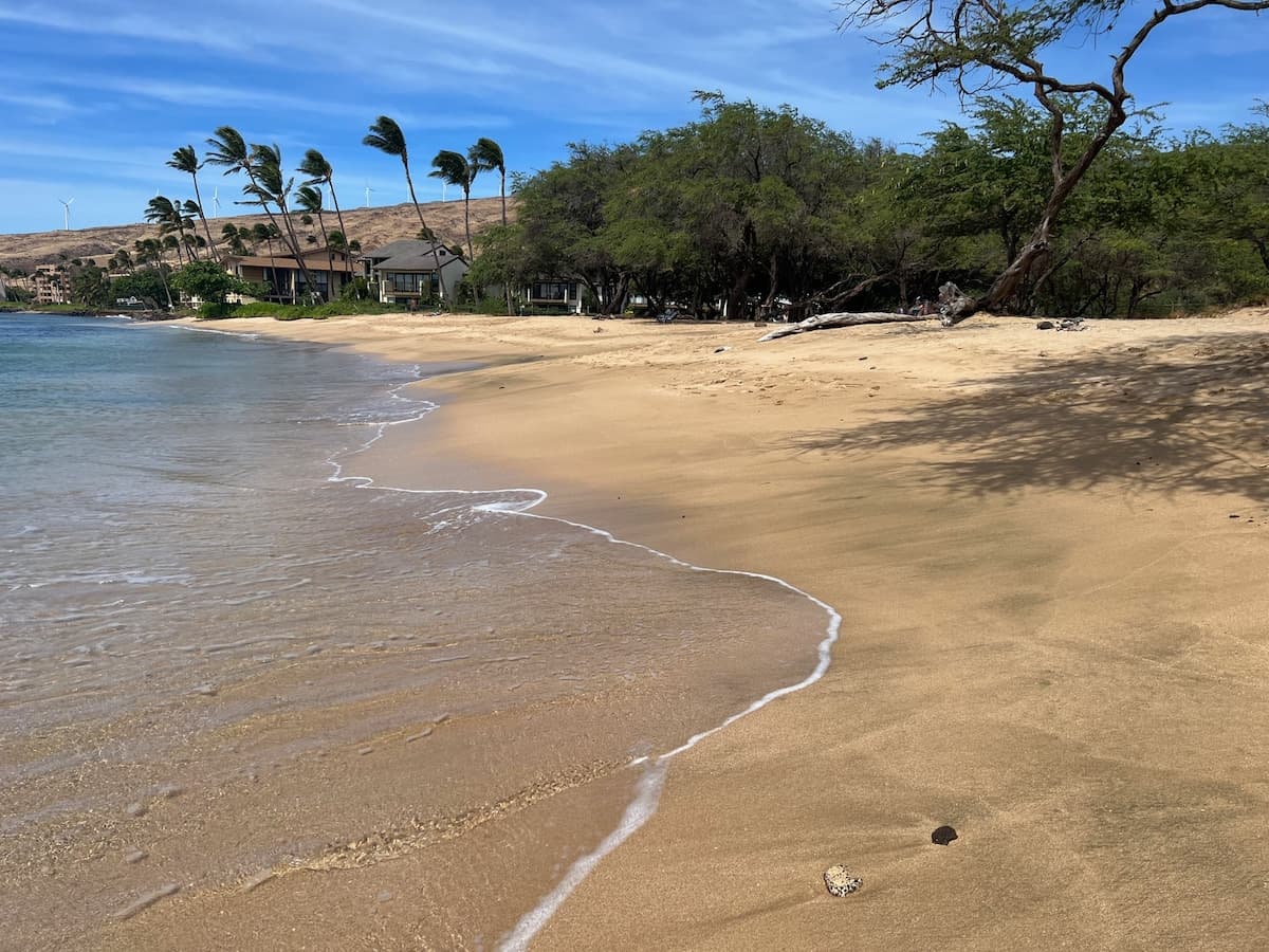 Condo in Maalaea · ★4.9 · 1 bedroom · 1 bed · 1 bath - Photo 1