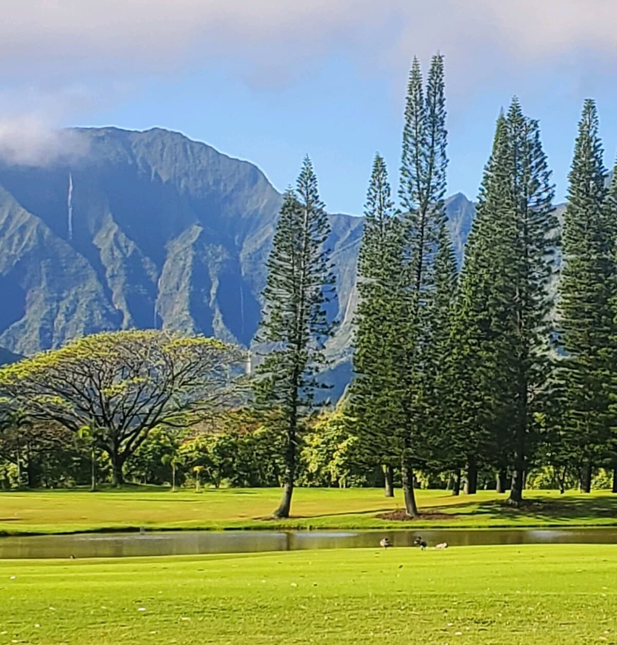 Condo in Princeville · ★4.94 · 1 bedroom · 1 bed · 1 bath - Photo 3