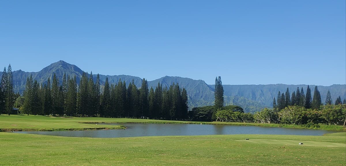 Condo in Princeville · ★4.94 · 1 bedroom · 1 bed · 1 bath - Photo 4
