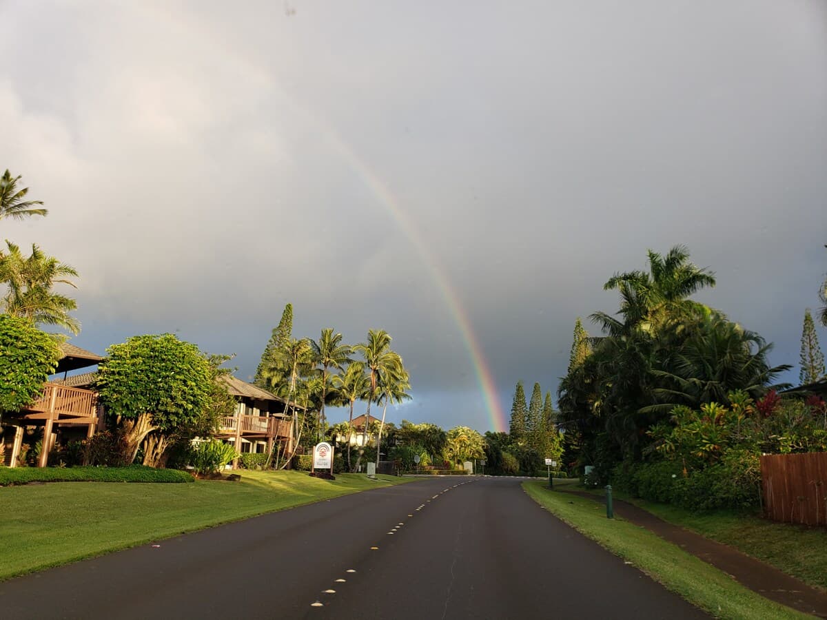 Condo in Princeville · ★4.94 · 1 bedroom · 1 bed · 1 bath - Photo 5