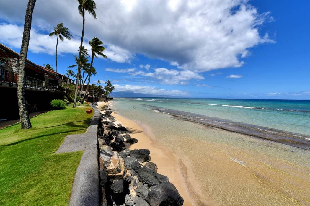 Condo in Lahaina · ★4.91 · 2 bedrooms · 4 beds · 2 baths - Photo 3