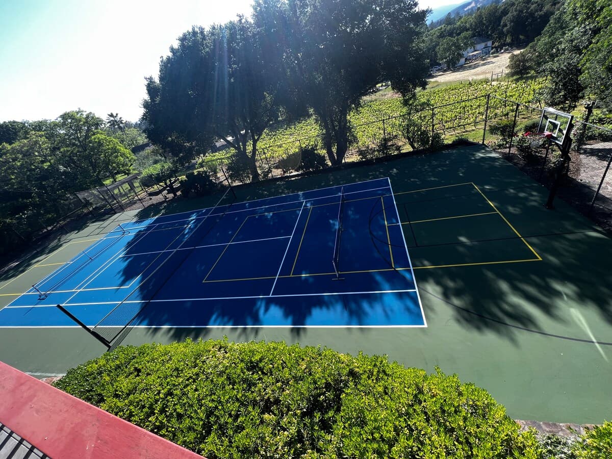 Sonoma Estate Pool, Sport Court & Vineyard - Photo 5