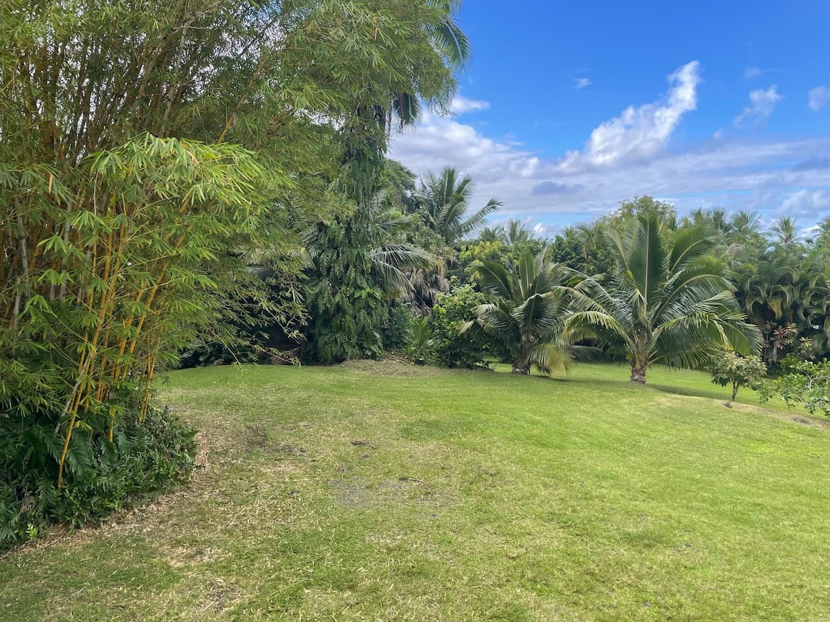 Home in Hana · ★4.88 · 2 bedrooms · 2 beds · 2 baths - Photo 3