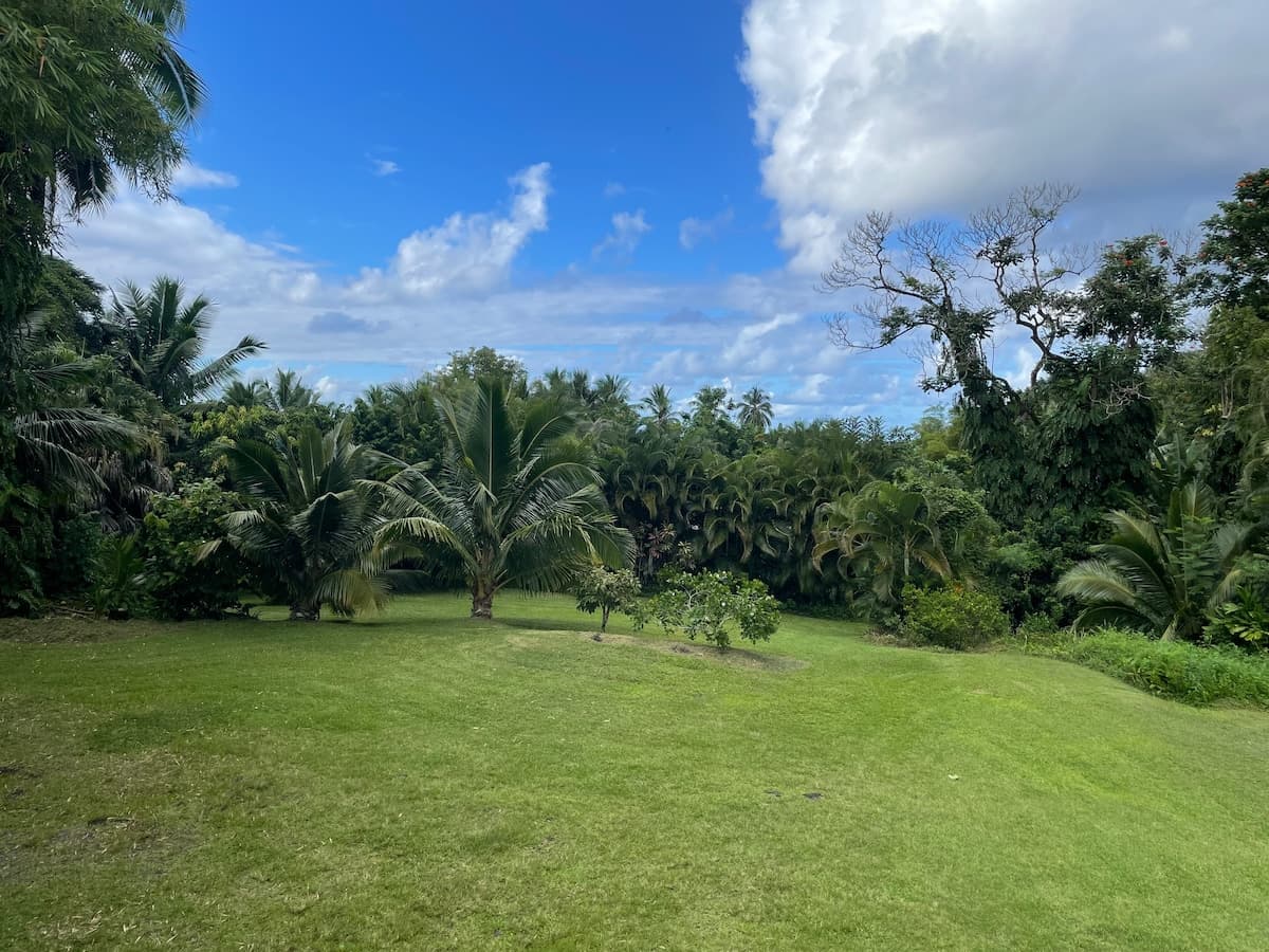 Home in Hana · ★4.88 · 2 bedrooms · 2 beds · 2 baths - Photo 4
