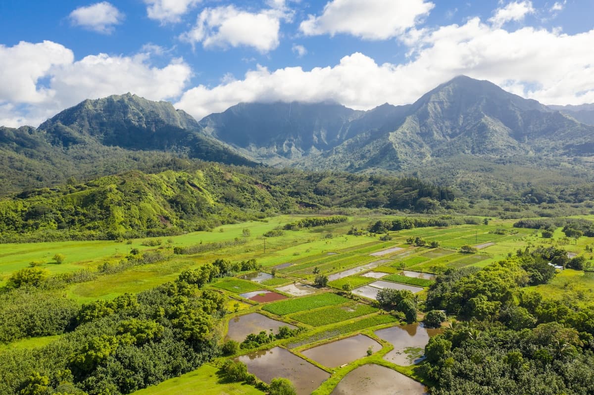 Home in Hanalei · ★5.0 · 5 bedrooms · 6 beds · 3 baths - Photo 4