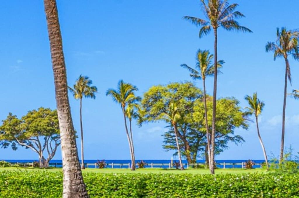 Condo in Lahaina · ★5.0 · Studio · 2 beds · 1 bath - Photo 4
