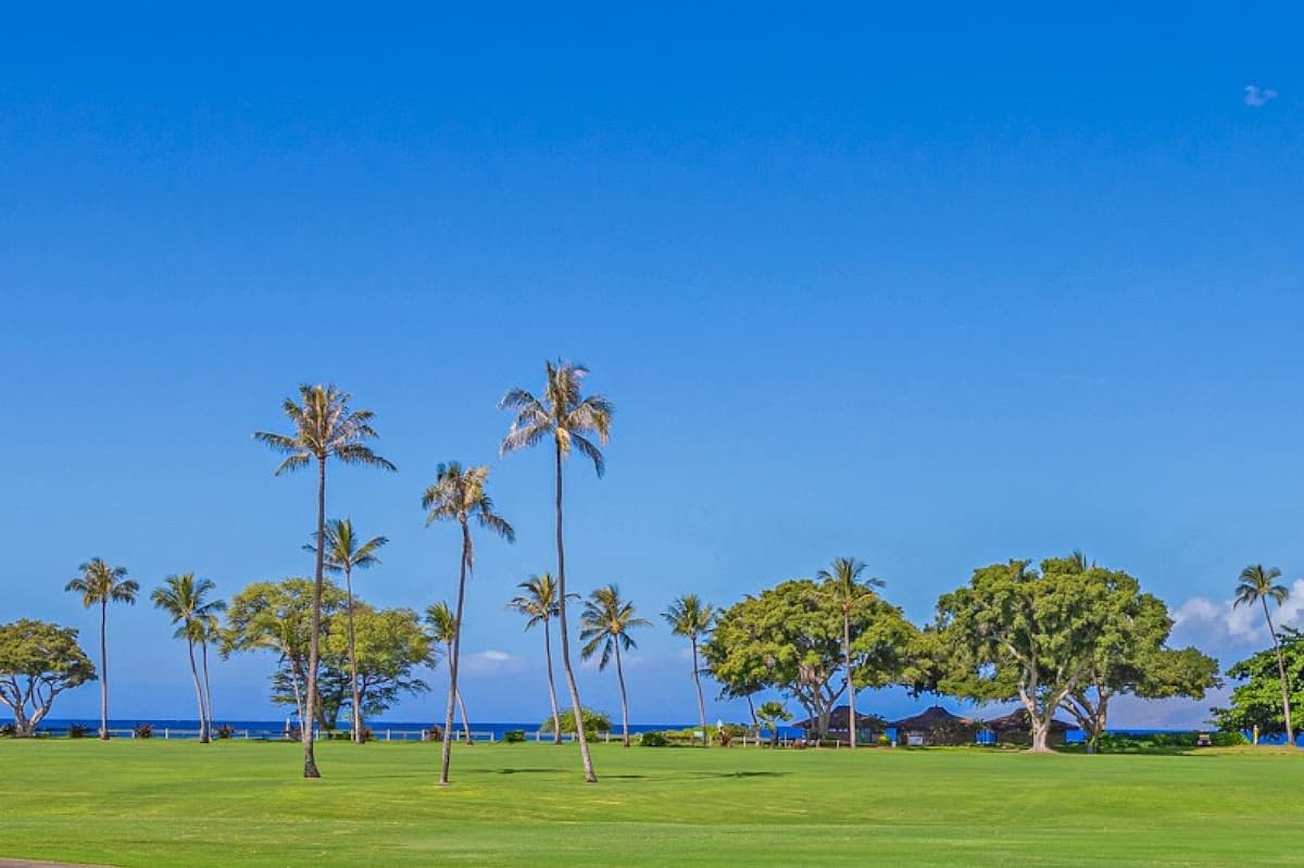 Condo in Lahaina · ★5.0 · Studio · 2 beds · 1 bath - Photo 5
