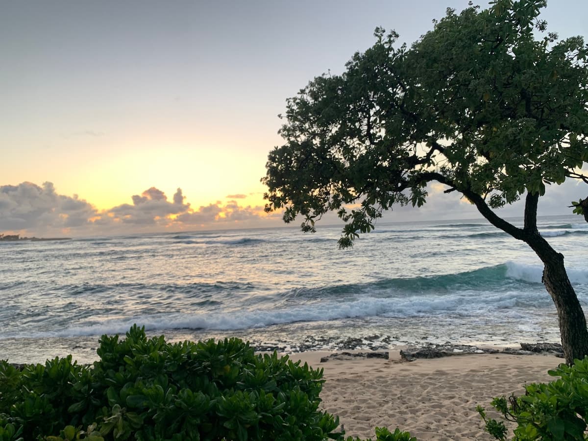 Townhouse in Kahuku · ★4.92 · 1 bedroom · 3 beds · 1 private bath - Photo 3