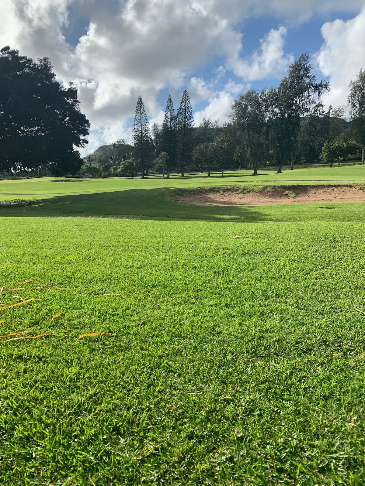 Townhouse in Kahuku · ★4.92 · 1 bedroom · 3 beds · 1 private bath - Photo 4