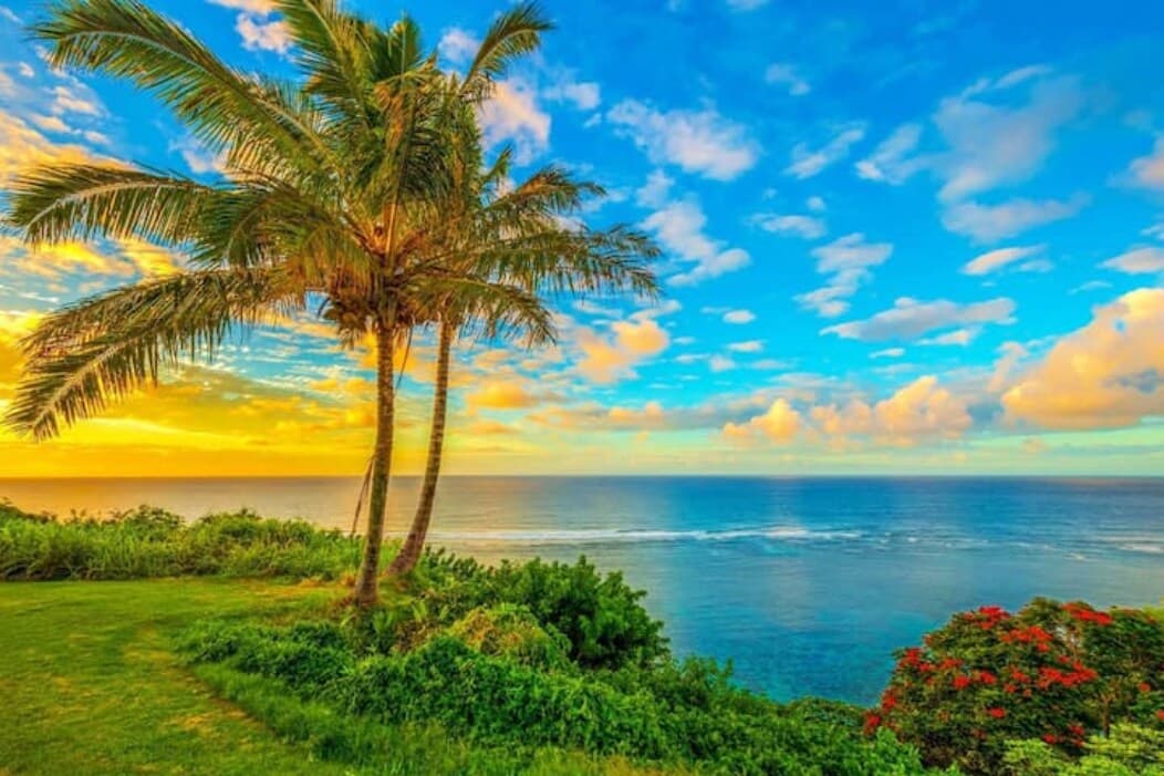 Condo in Princeville · ★4.63 · Studio · 1 bed · 1 private bath - Photo 3