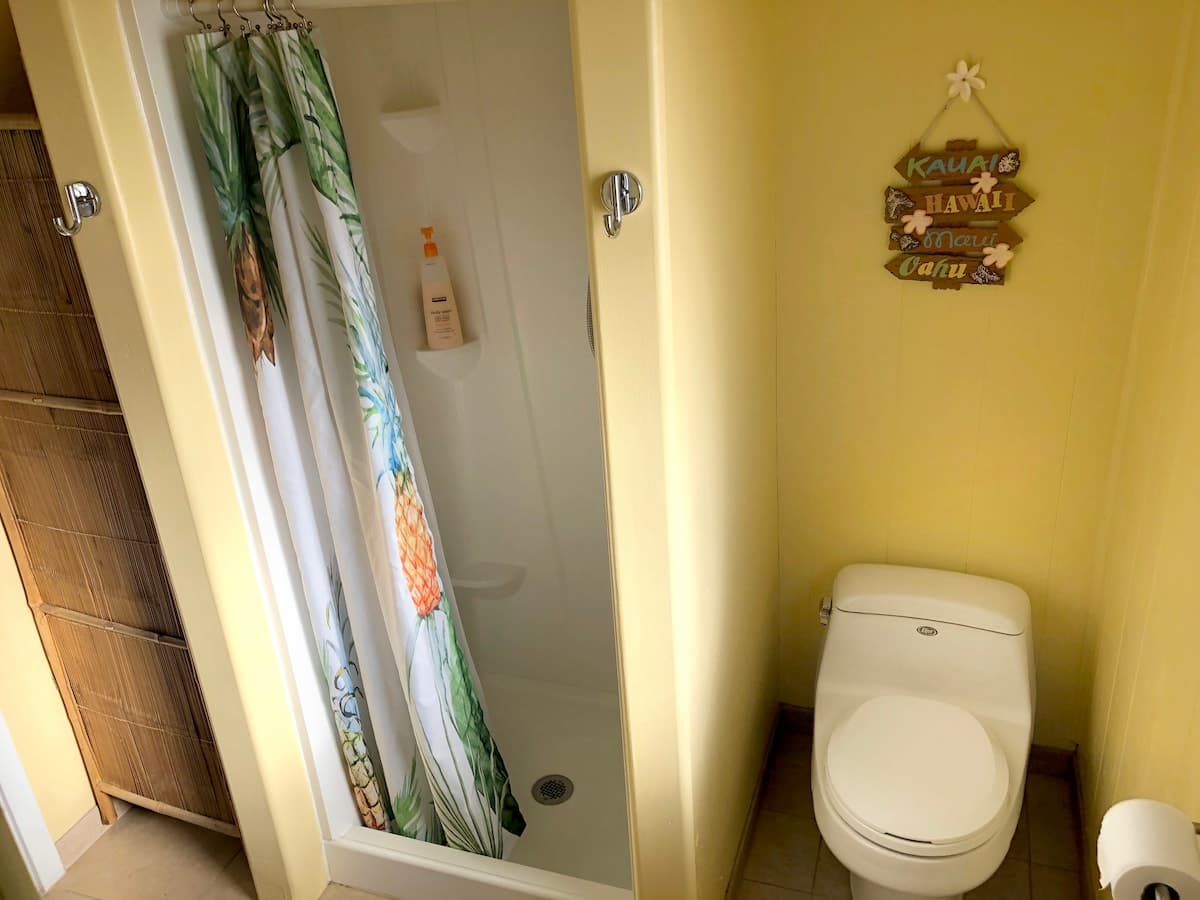 Panoramic Ocean View Studio, Permitted by Kaua‘i - Photo 1