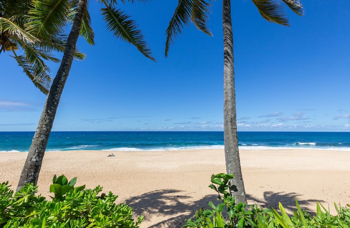 Home in Haleiwa · ★4.91 · 3 bedrooms · 4 beds · 3.5 private baths - Photo 4