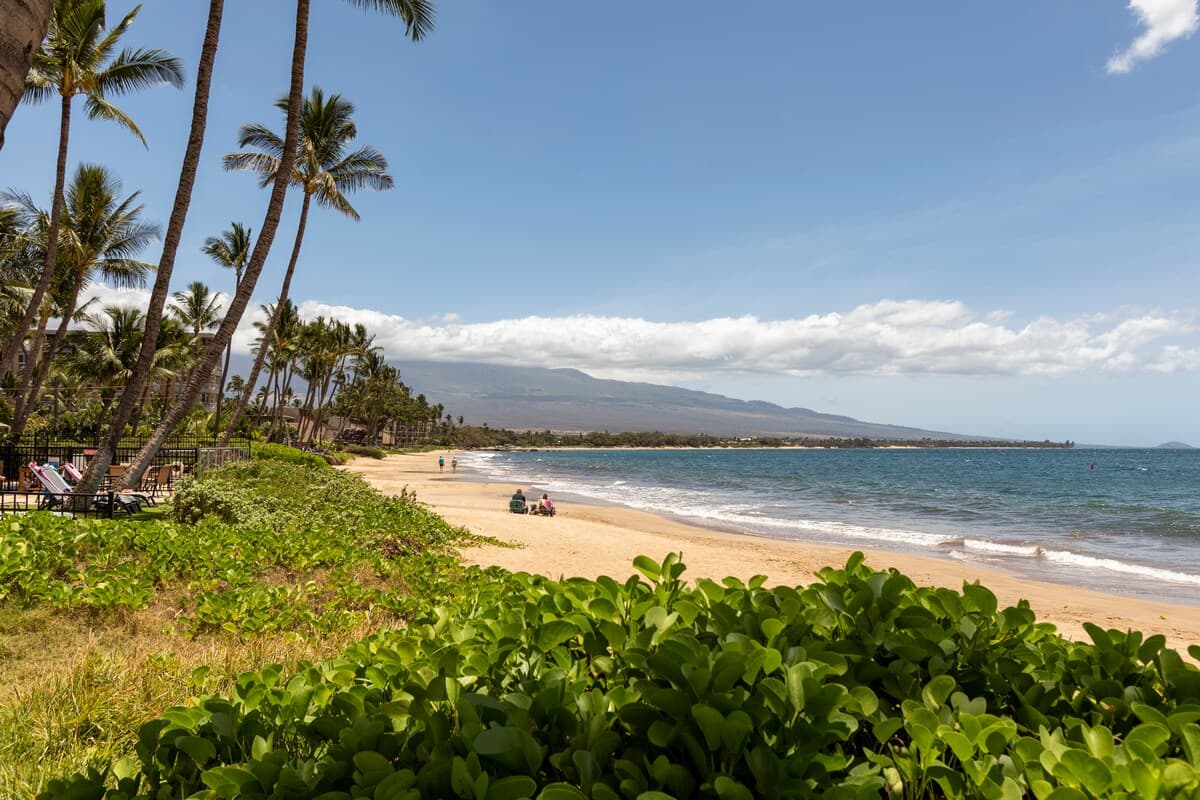 Condo in Kihei · ★4.86 · 1 bedroom · 2 beds · 1 private bath - Photo 1