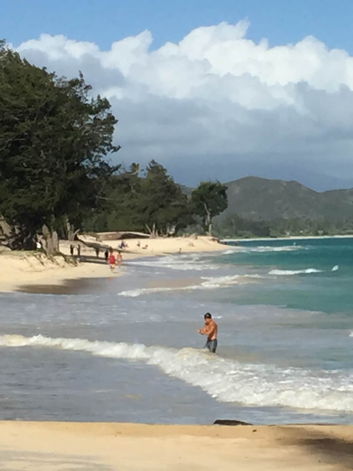 Home in Kailua · ★4.79 · 1 bedroom · 2 beds · 1 private bath - Photo 5