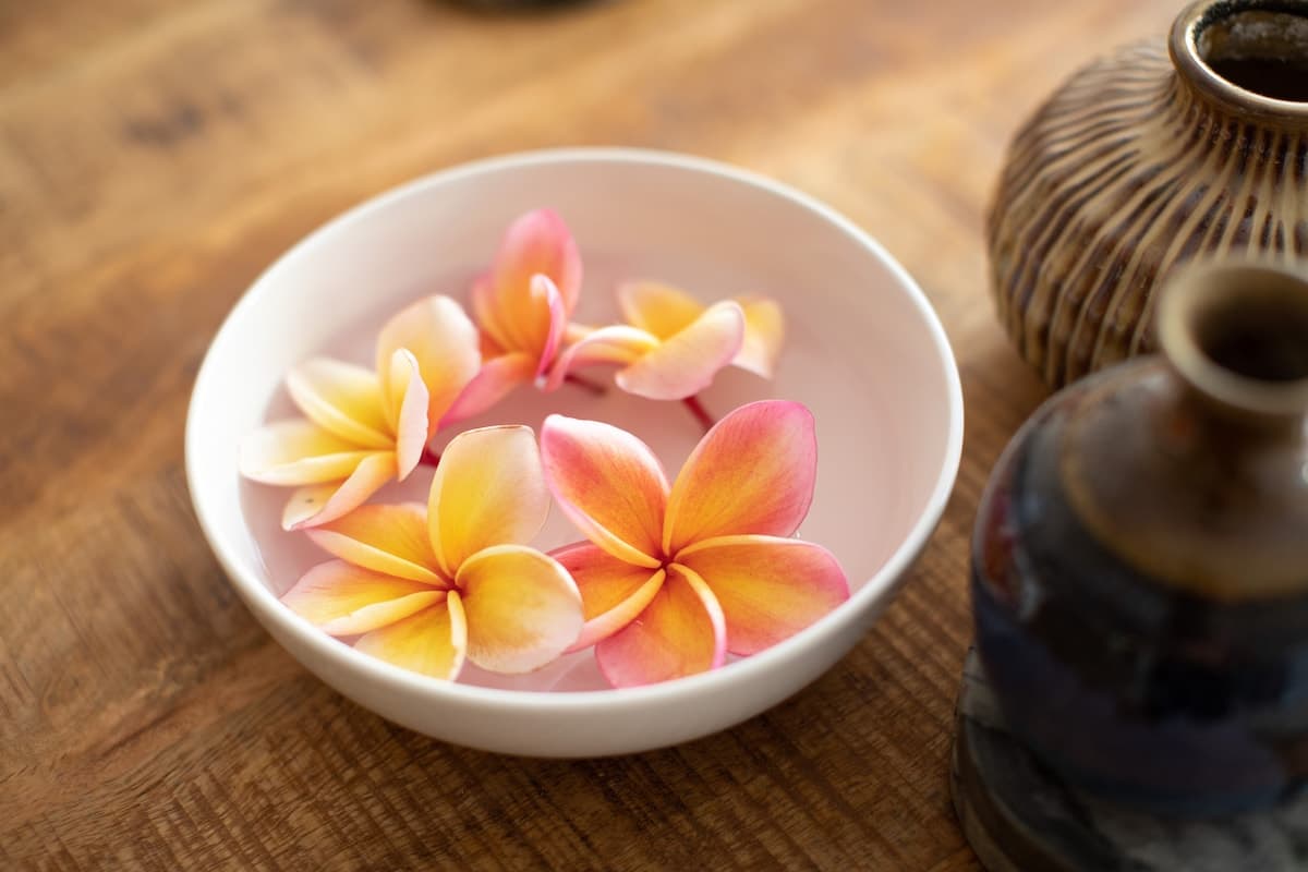 Condo in Waialua · ★4.92 · 1 bedroom · 2 beds · 1 private bath - Photo 4