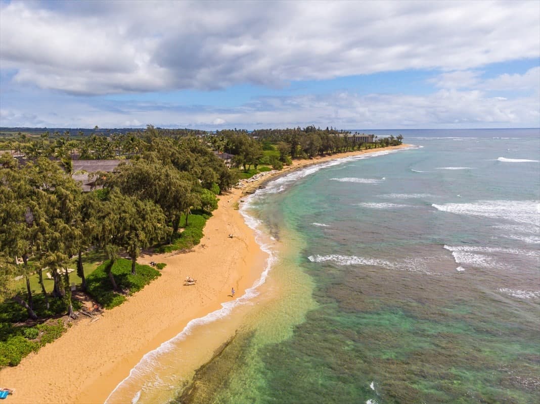 Condo in Kapaa · ★4.79 · Studio · 2 beds · 1 private bath - Photo 5