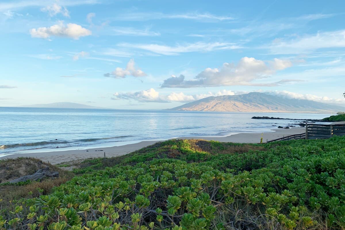Condo in Kihei · ★4.85 · 2 bedrooms · 4 beds · 2 private baths - Photo 2