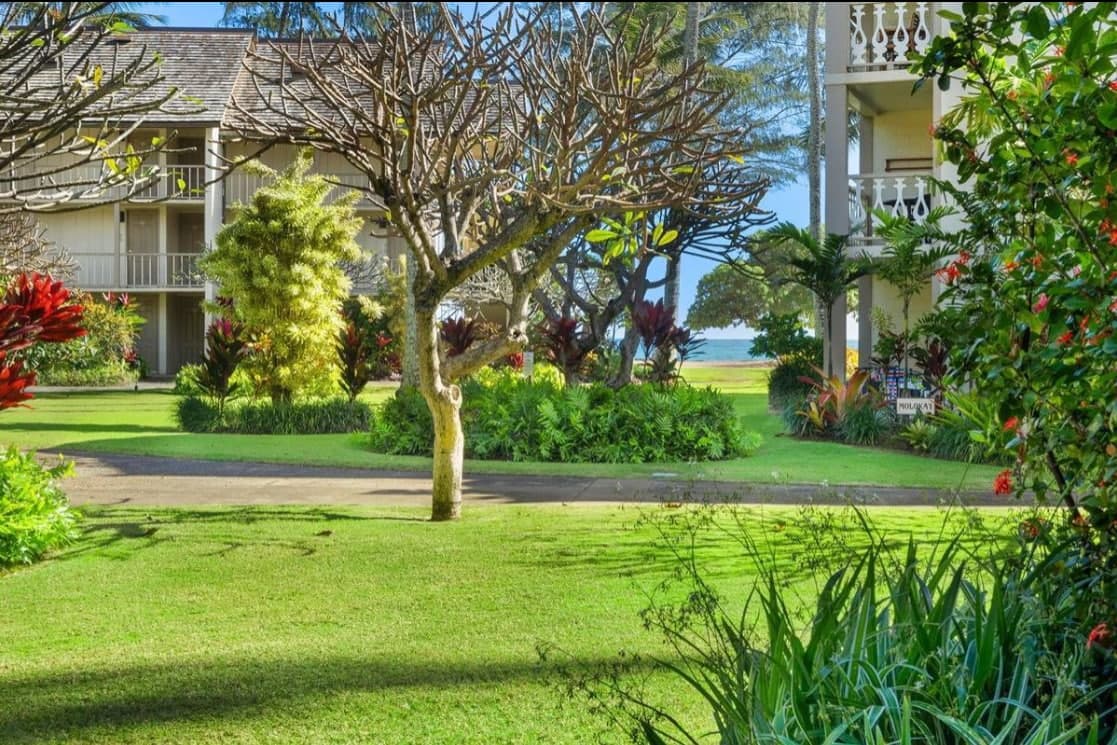 Condo in Kapaa · ★4.87 · Studio · 1 bed · 1 bath - Photo 3