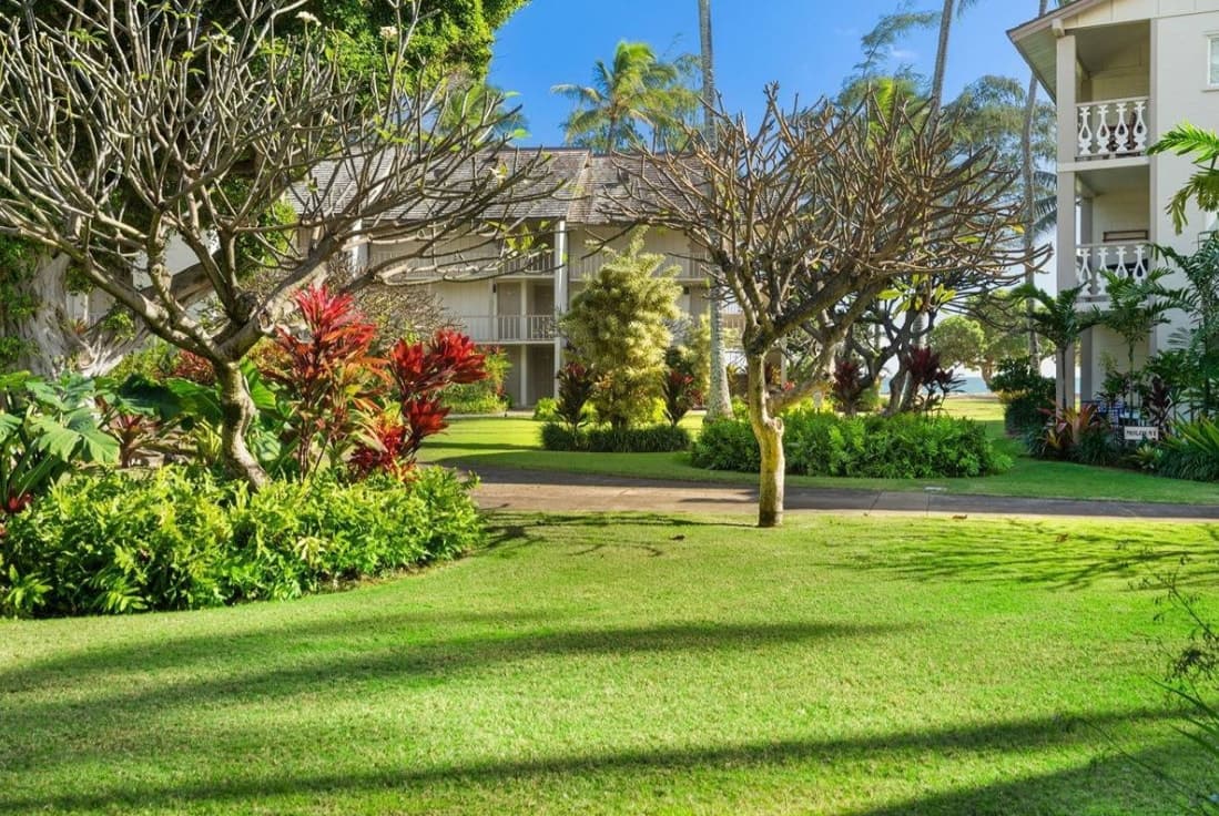 Condo in Kapaa · ★4.87 · Studio · 1 bed · 1 bath - Photo 4