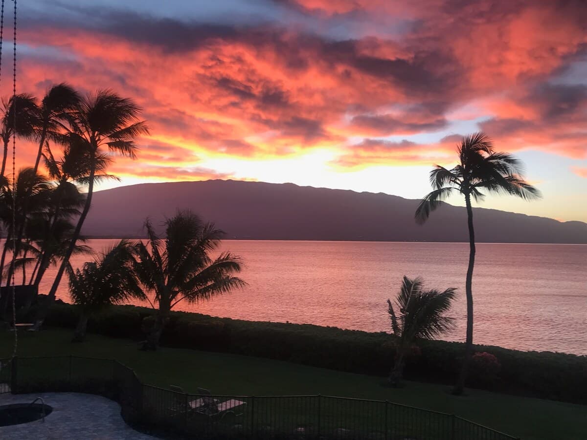 Condo in Wailuku · ★4.96 · 1 bedroom · 1 bed · 1 bath - Photo 1