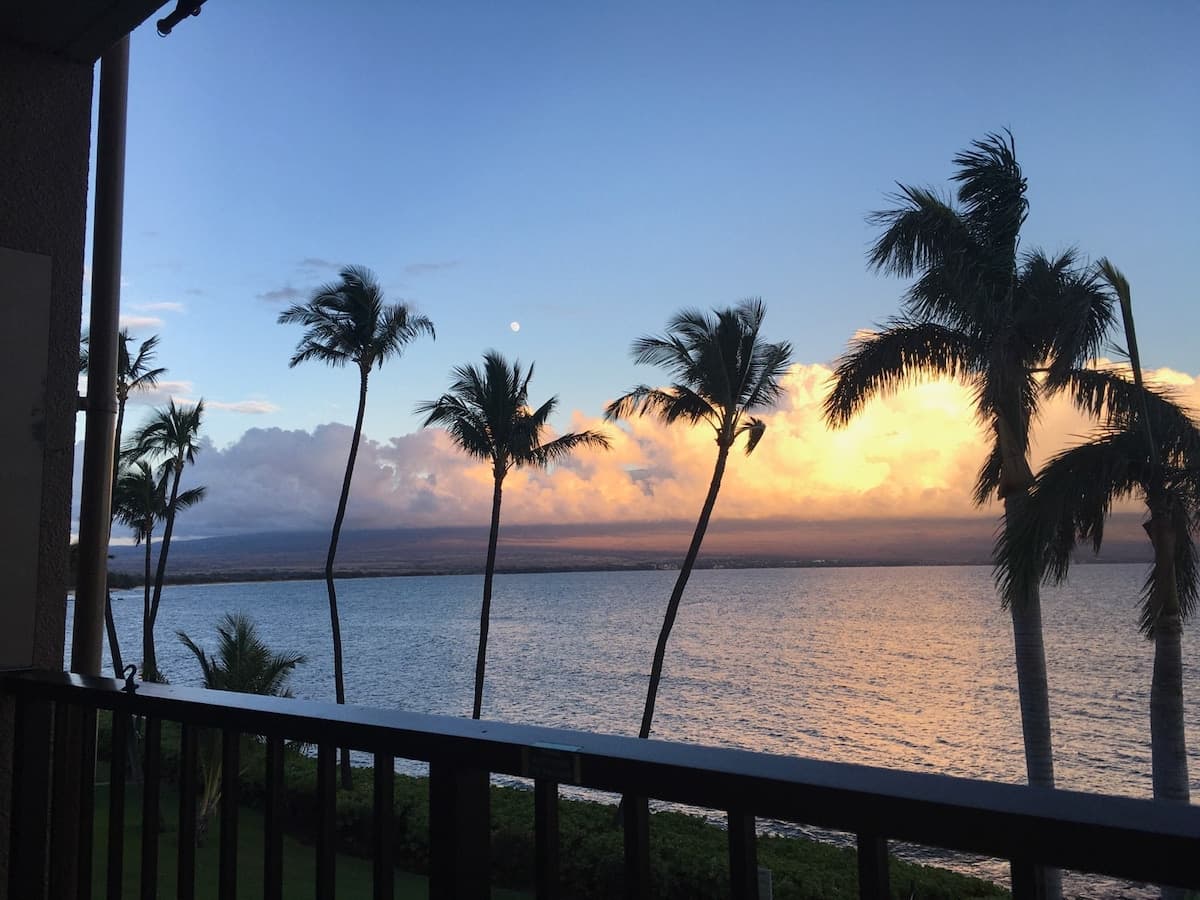 Condo in Wailuku · ★4.96 · 1 bedroom · 1 bed · 1 bath - Photo 2