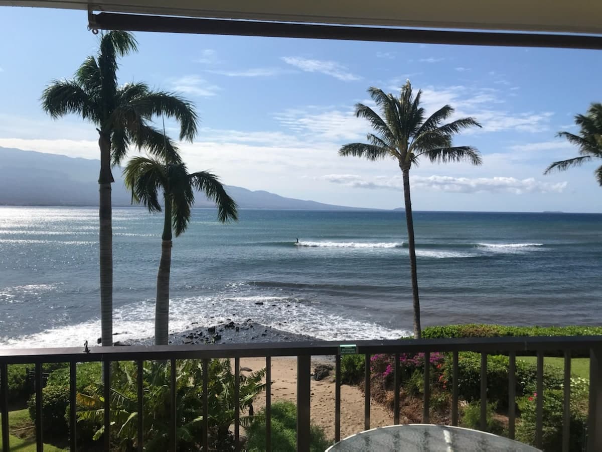 Condo in Wailuku · ★4.96 · 1 bedroom · 1 bed · 1 bath - Photo 3
